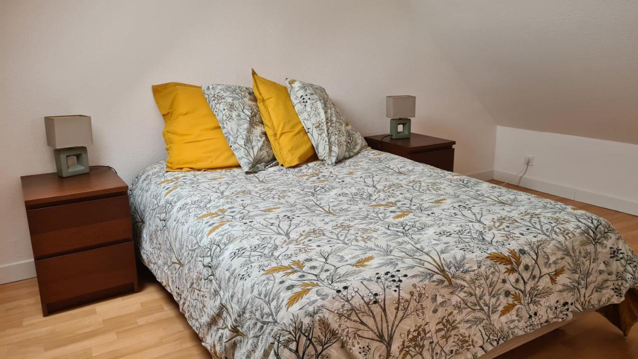 Duplex Au Centre Avec Parking - L'Etoile Apartment Obernai Ngoại thất bức ảnh