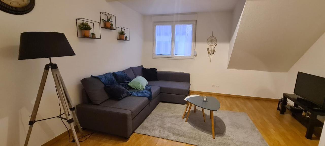 Duplex Au Centre Avec Parking - L'Etoile Apartment Obernai Ngoại thất bức ảnh